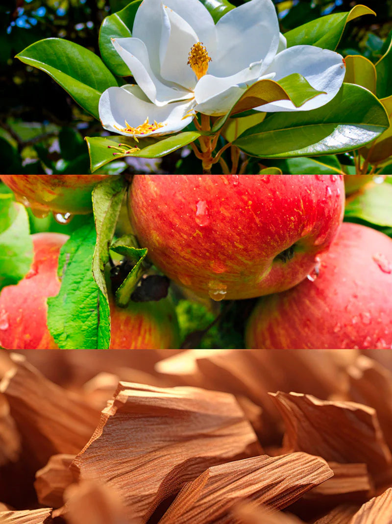 Fruit - Yodeyma