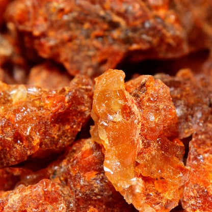 Ambrax 2025 - Yodeyma