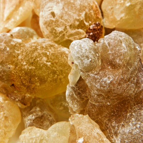 Ambrax 2025 - Yodeyma