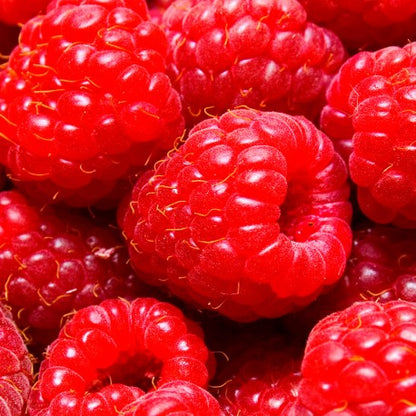 Ambrax 2025 - Yodeyma