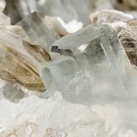 Tayda 2025 - Yodeyma